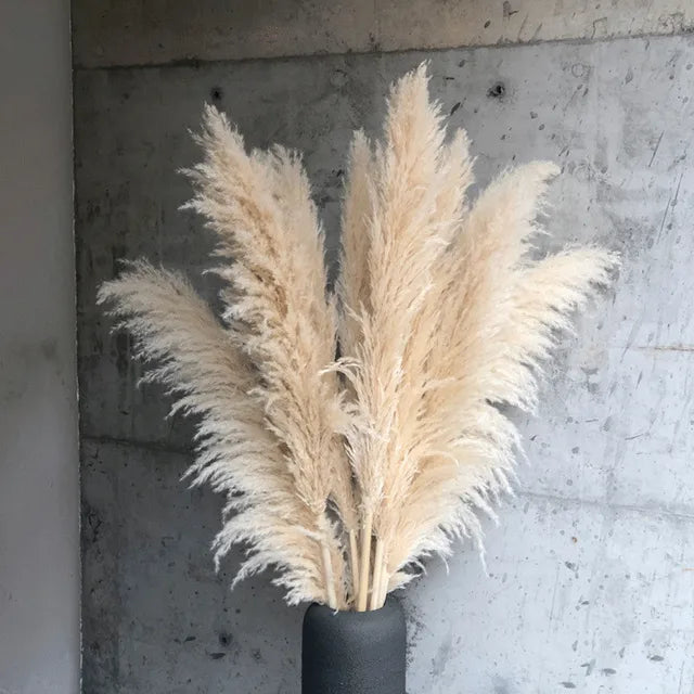 ChicBohème | Herbe de Pampa Séchée pour Décoration Intérieure Chic
