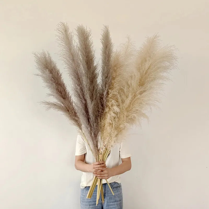 ChicBohème | Herbe de Pampa Séchée pour Décoration Intérieure Chic