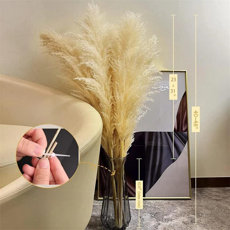 ChicBohème | Herbe de Pampa Séchée pour Décoration Intérieure Chic