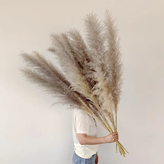 ChicBohème | Herbe de Pampa Séchée pour Décoration Intérieure Chic
