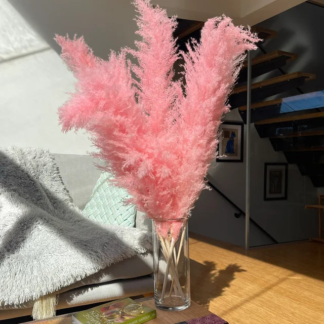ChicBohème | Herbe de Pampa Séchée pour Décoration Intérieure Chic